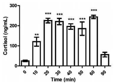 Evaluation of the Cortisol Stress Response in a Marine Perciform Fish, the San Pedro Oplegnathus insignis - Image 1