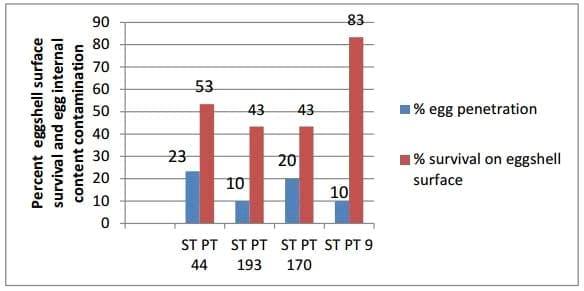 Egg Penetration by Salmonella Typhimurium in Washed and Unwashed Eggs - Image 2