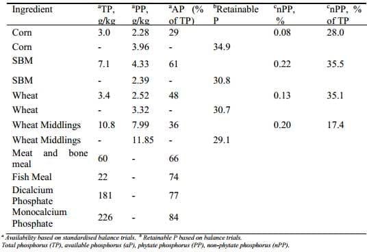 Calcium to Phosphorus Ratios in Broilers - Image 1