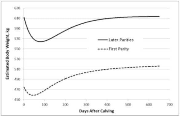 Grouping Strategies for Feeding Lactacting Dairy Cattle - Image 1