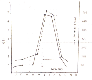 Maturation and Spawning - Image 1