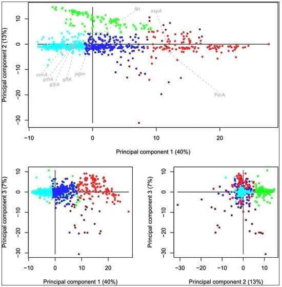 Analysis of evolutionary patterns of genes in Campylobacter jejuni and C. coli - Image 4