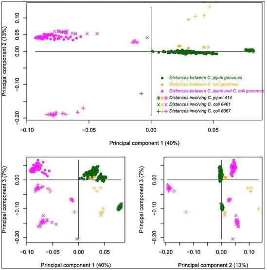 Analysis of evolutionary patterns of genes in Campylobacter jejuni and C. coli - Image 5