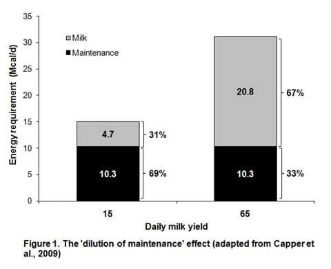 Dairy Carbon Footprint - Image 1