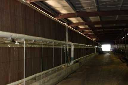 Cross-Ventilated Barns for Dairy Cows: New Building Design with Cow Comfort in Mind - Image 9