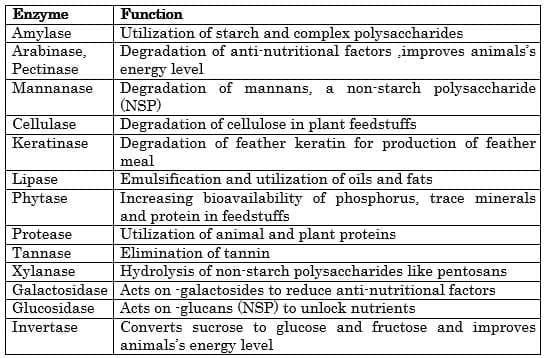 Importance of feed Enzymes for Shrimp and Fish–In Sustainable Aquaculture - Image 1
