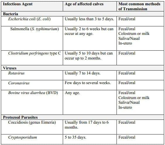 Calf Health Management - Image 1