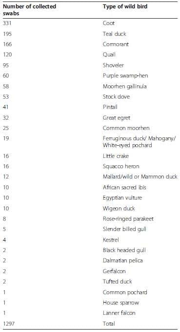 Surveillance on A/H5N1 Virus in Domestic Poultry and Wild Birds in Egypt - Image 5