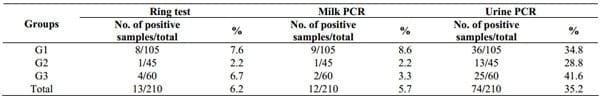 Excretion of Brucella abortus vaccine B19 strain during a reproductive cycle in dairy cows - Image 2