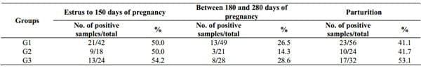 Excretion of Brucella abortus vaccine B19 strain during a reproductive cycle in dairy cows - Image 4