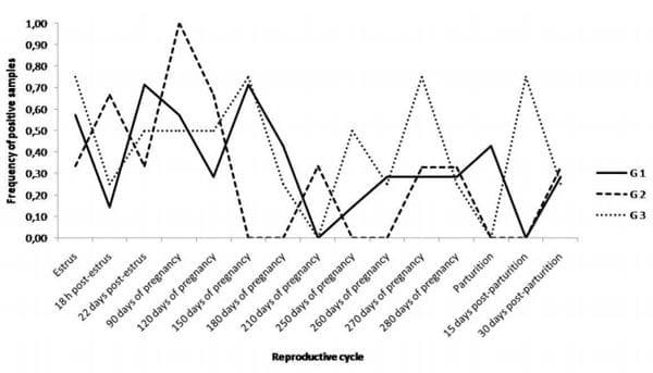 Excretion of Brucella abortus vaccine B19 strain during a reproductive cycle in dairy cows - Image 1