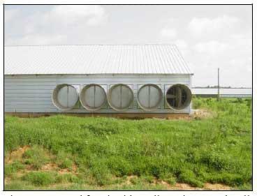 How do Tunnel Inlet Doors Affect Air Velocity Distribution in Tunnel Houses? - Image 3