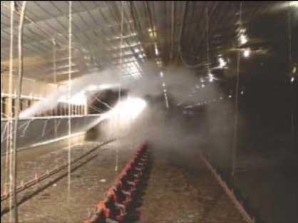 Minimizing Wet Litter Problems During Hot Weather - Image 6