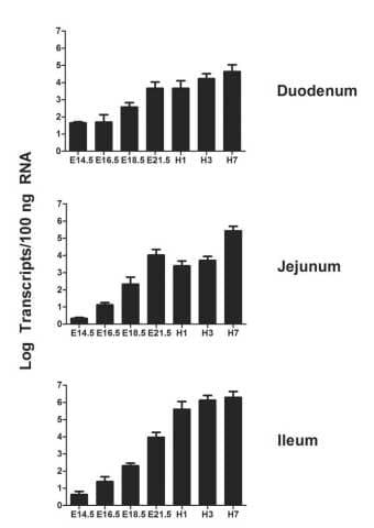 Cloning, Annotation and Developmental Expression of the Chicken Intestinal MUC2 Gene - Image 11