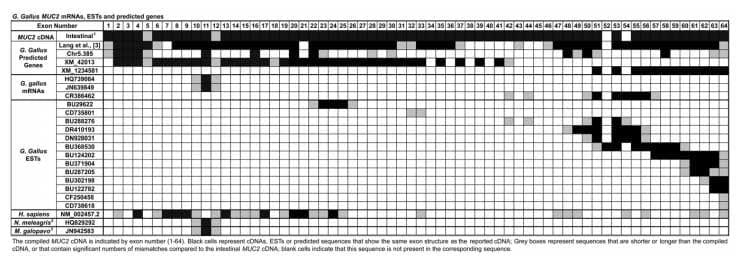 Cloning, Annotation and Developmental Expression of the Chicken Intestinal MUC2 Gene - Image 8