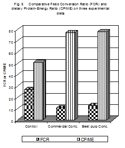 Growth Performance of Beetal Goat Kids on Dreid Sugar Beetpulp Based Concentrate - Image 8