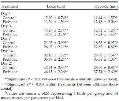 Effect of Prebiotic on Gut Development and Ascites Incidence of Broilers Reared in a Hypoxic Environment1 - Image 3