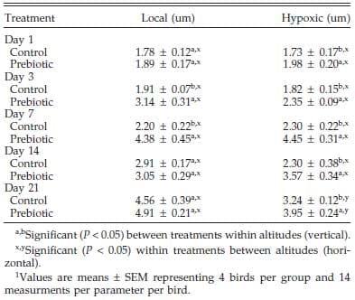 Effect of Prebiotic on Gut Development and Ascites Incidence of Broilers Reared in a Hypoxic Environment1 - Image 9