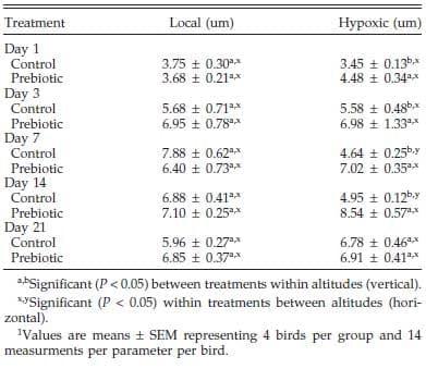 Effect of Prebiotic on Gut Development and Ascites Incidence of Broilers Reared in a Hypoxic Environment1 - Image 5