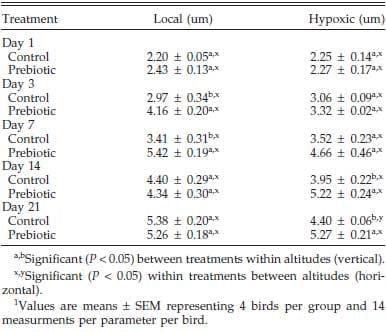 Effect of Prebiotic on Gut Development and Ascites Incidence of Broilers Reared in a Hypoxic Environment1 - Image 6