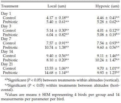 Effect of Prebiotic on Gut Development and Ascites Incidence of Broilers Reared in a Hypoxic Environment1 - Image 7