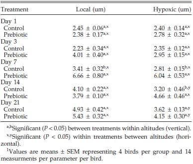 Effect of Prebiotic on Gut Development and Ascites Incidence of Broilers Reared in a Hypoxic Environment1 - Image 8