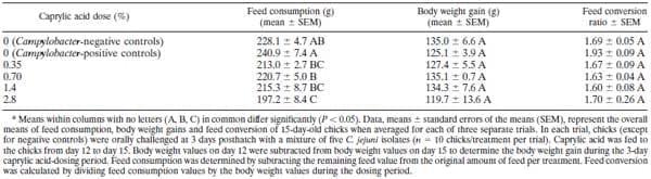 Therapeutic Supplementation of Caprylic Acid in Feed Reduces Campylobacter jejuni Colonization in Broiler Chicks - Image 2