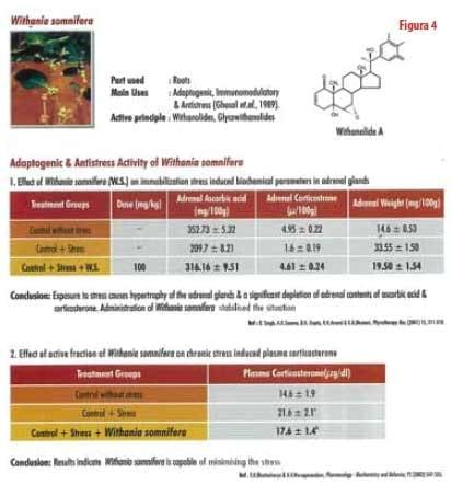 Reduction of confinement stress or adaptation syndrome - Image 4