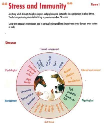Reduction of confinement stress or adaptation syndrome - Image 1