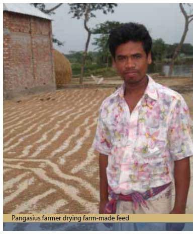 Improving aquaculture feed in Bangladesh: From feed ingredients to farmer profit to safe consumption - Image 4