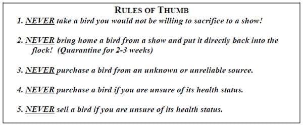 Biosecurity Principles: Protecting your investment - Image 1