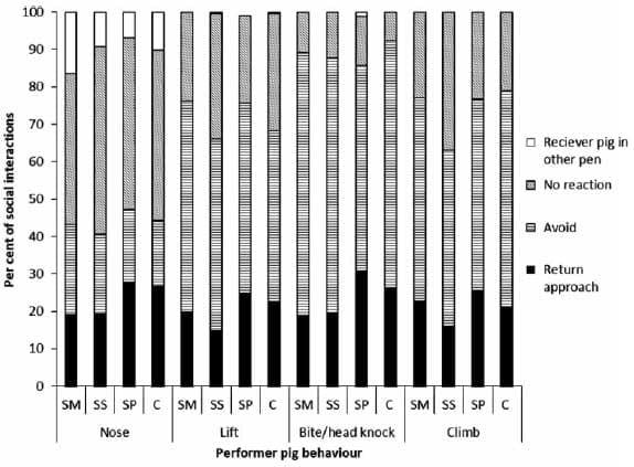 Inclusion of grass/clover silage in the diet of growing/ finishing pigs – Influence on pig time budgets and social behaviour - Image 10