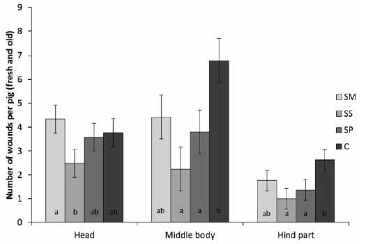 Inclusion of grass/clover silage in the diet of growing/ finishing pigs – Influence on pig time budgets and social behaviour - Image 11