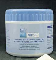 Case Studies on Aquaculture Health in Australia - Image 2