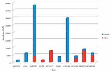 Microbial dynamics in shrimp ponds - Image 2