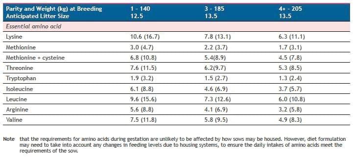 Feeding Pregnant Sows in Group Housing Systems - Image 7
