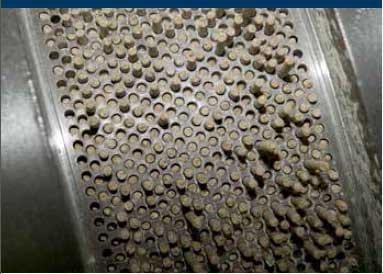 Feeding Pregnant Sows in Group Housing Systems - Image 1