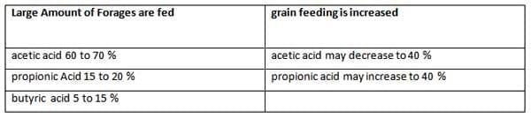 A Pocket Guide To Ruminant Digestion - Image 3