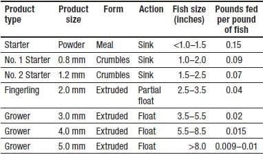 Bluegill Sunfish Production in Missouri - Image 17