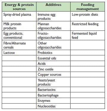 Health Management with Reduced Use of Antibiotics in Pig Production - Image 1