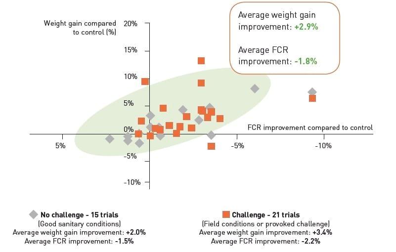 ROSEN Test to objectively evaluate feed additives in poultry - Image 3