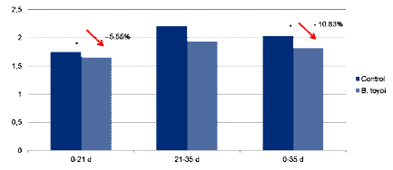 Effect of Bacillus Toyoi in Broiler Chicken Production - Image 2