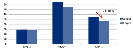 Effect of Bacillus Toyoi in Broiler Chicken Production - Image 1