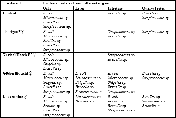 Effect of some Commercial Feed Additives on the Structure of Gonads and Microbiology of Nile Tilapia (Oreochromis Niloticus) Fish - Image 8