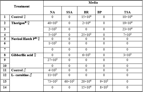 Effect of some Commercial Feed Additives on the Structure of Gonads and Microbiology of Nile Tilapia (Oreochromis Niloticus) Fish - Image 5