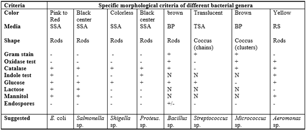 Effect of some Commercial Feed Additives on the Structure of Gonads and Microbiology of Nile Tilapia (Oreochromis Niloticus) Fish - Image 7