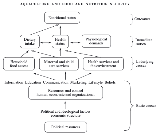 Meeting the food and nutrition needs of the poor: the role of fish and the opportunities and challenges emerging from the rise of aquaculture (a) - Image 3