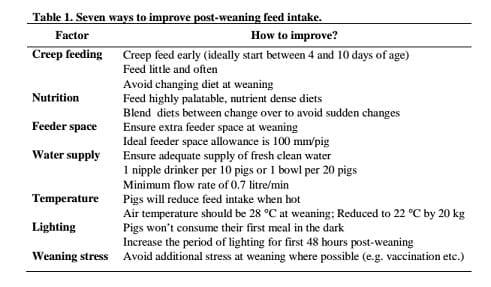 New Applications in Nursery Nutrition and Management: Giving Piglets the Best Possible Start with Practical Management Tips and Nutrition Concepts - Image 3