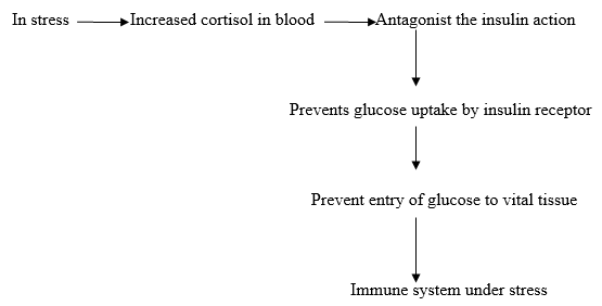 Role of micronutrients in immunity and fertility of animal - Image 3