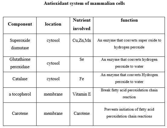 Role of micronutrients in immunity and fertility of animal - Image 2
